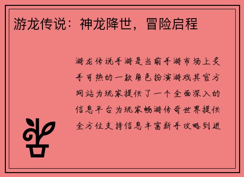游龙传说：神龙降世，冒险启程