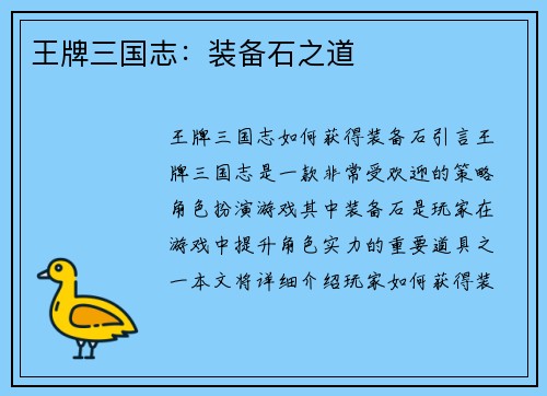 王牌三国志：装备石之道